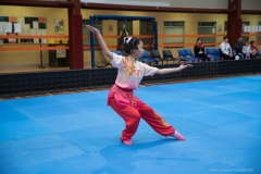 kungfu (90)