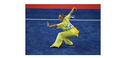 2015 World Wushu Championships Taolu Team Announced 